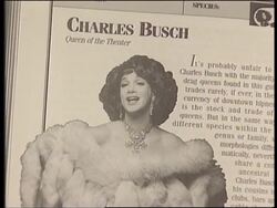 USA - The Drag Queens of New York News Clip