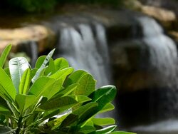 Water fall blurred Stock Footage