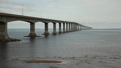 Birds Flying Underneath The Confederation Bridge Stock Footage
