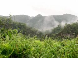 WS View of fog rolling above tree tops with tree covered hills / aguacate, toledo, belize Stock Footage