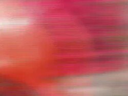 Pro Mohamed Morsi supporters at checkpoint News Clip