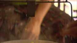 Women pull silk threads as they sort cocoons that boil in a kettle. Stock Footage