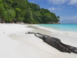 HD Sea wave on the beach Stock Footage