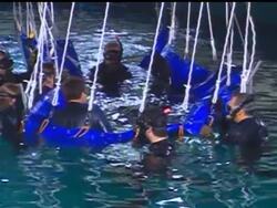 Whale shark in Atlanta gets checkup from team of doctors News Clip