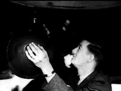 THE MOSQUITO - News Clip