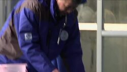 Efforts to save China's finless porpoise from extinction News Clip