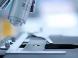 Scientist using microscope Stock Footage