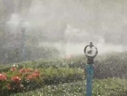 Water sprinkler showering Stock Footage