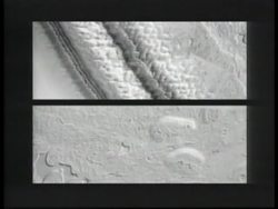 SPACE: MARS: NASA'S IMAGES OF MARS News Clip