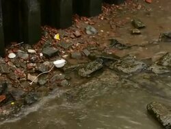 Water pollution Stock Footage