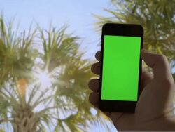 Selfie Self portriat Palm trees sunset Male One Person Stock Footage