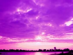 Purple sky Stock Footage