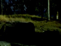 Trumpeldor Memorial and Archaeological Site Stock Footage