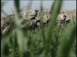 Allied forces are now starting to encounter strong pockets of resistence in the southern Afghan city of Marjeh. The operation is the largest since the 2001 U.S.-led invasion of Afghanistan. Instructional Video
