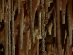 Limestone Stalactite Cave, Soreq cave, Avshalom Reserve, near Beit Shemesh, Israel Stock Footage