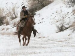 PAN Cowboy on horseback riding with dog up hill to meet horses in snowy landscape / Shell, Wyoming, United States Stock Footage