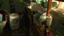 VOICED : In New York town a cry News Clip