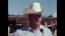 News Item (fed8e4ca-315d-82e7-9ce9-6a872d2eddcb) News Clip