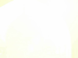 MONTAGE: Taj Mahal in India Stock Footage