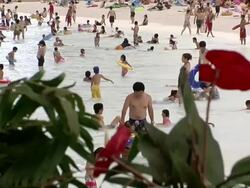 MS Shot of sea Gaia Ocean Dome behind vegetation in dome with people on fake beach / Miyazaki, Japan Stock Footage