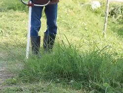 Worker Cutting Grass Stock Footage