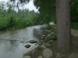MS Shot of Mississippi river / Lake Itasca, Minnesota, United States  Stock Footage