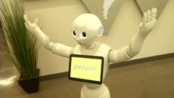 Robot block party in Silicon Valley News Clip