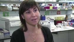 VOICED : Spains economic crisis strangles News Clip