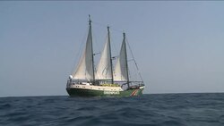 CLEAN: Greenpeace says high radiation in Japan seaweed News Clip