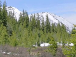 Hiking in the Canadian Rockies Stock Footage