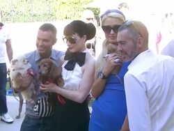 Dean & Dan Caten, Dita Von Teese, Paris Hilton at the yoox.com and DSQUARED2 Canine Couture Launch To Benefit Much Love Animal Rescue at Beverly Hills CA. (Footage by WireImage Video/GettyImages) Stock Footage