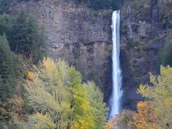 waterfall - multnomah falls in Oregon Stock Footage