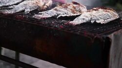 Dolly:grilled fish Stock Footage