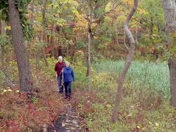 WS Mature couple hiking / Sea Bright, New Jersey, USA Stock Footage