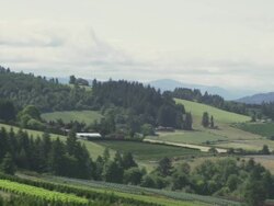 WS PAN View of Oregon countryside with farms, nursery, trees and hills / Cornelius, Oregon, United States  Stock Footage