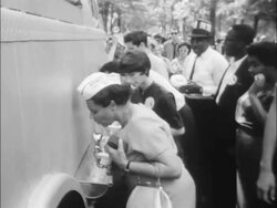 Crowds at the March on Washington Stock Footage