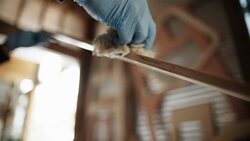 White Person Stains Wood Stock Footage