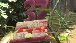 CLEAN : Hong Kong giant panda Jia Jia becomes oldest ever in captivity News Clip