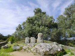 WS LA View of Menhir statue at megalithic site/ Filitosa, Corsica, France Stock Footage