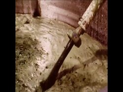 SYND 11 10 75 SCIENTISTS FROM BERKELEY CLAIM THAT ALFALFA COOKIES CONTAIN UP TO 90 PER CENT PROTEIN News Clip