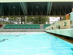 Swimmer prepare on his mark Stock Footage