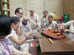 Woman showing tea ceremony /Xi'an, Shaanxi, China Stock Footage