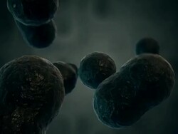 Black dividing virus Stock Footage