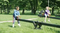 Fulcrum Instructional Video