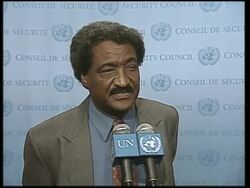 Sudanese delegate speaks to press at UN Instructional Video