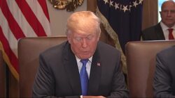 Trump Hails Passage of GOP Tax Bill News Clip