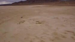 (Drone) Woman Riding Horses in the Desert 03 Stock Footage
