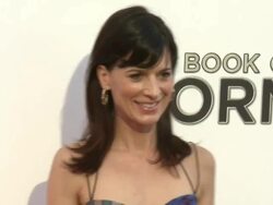 Perrey Reeves at The Book Of Mormon Los Angeles Opening Night Stock Footage