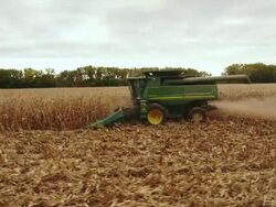 Combine passes camera right to left, harvesting corn in large field. Stock Footage