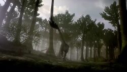 A computer-generated anatomical model of a running Deinonychus features its skeletal system and skull. Stock Footage